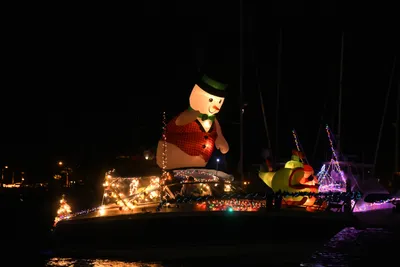 DSC_2549 (Large).JPG